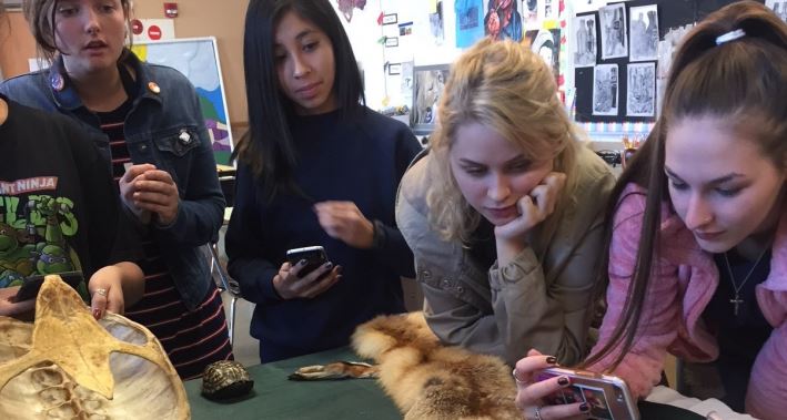 students observing animals